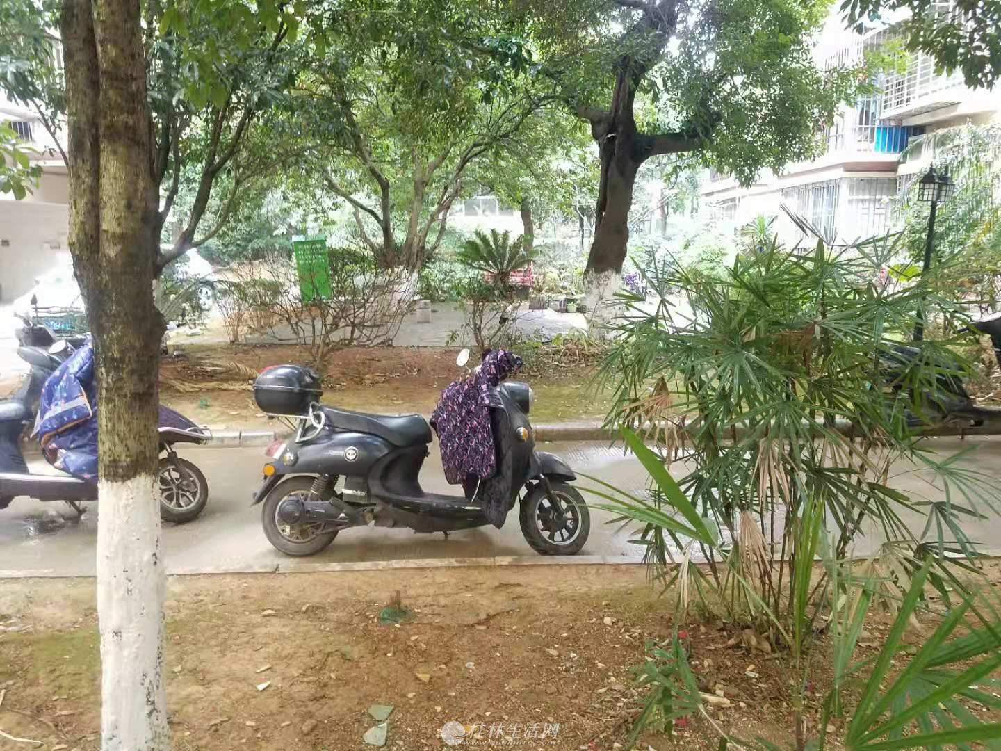 �������½�·�۾���ͥ����118ƽ3��2��2��66��