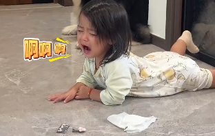 萌娃趴地上大哭，狗狗赶紧陪哭！比妹妹哭得还大声、还凄惨！狗子：别想甩锅给我，我也会哭