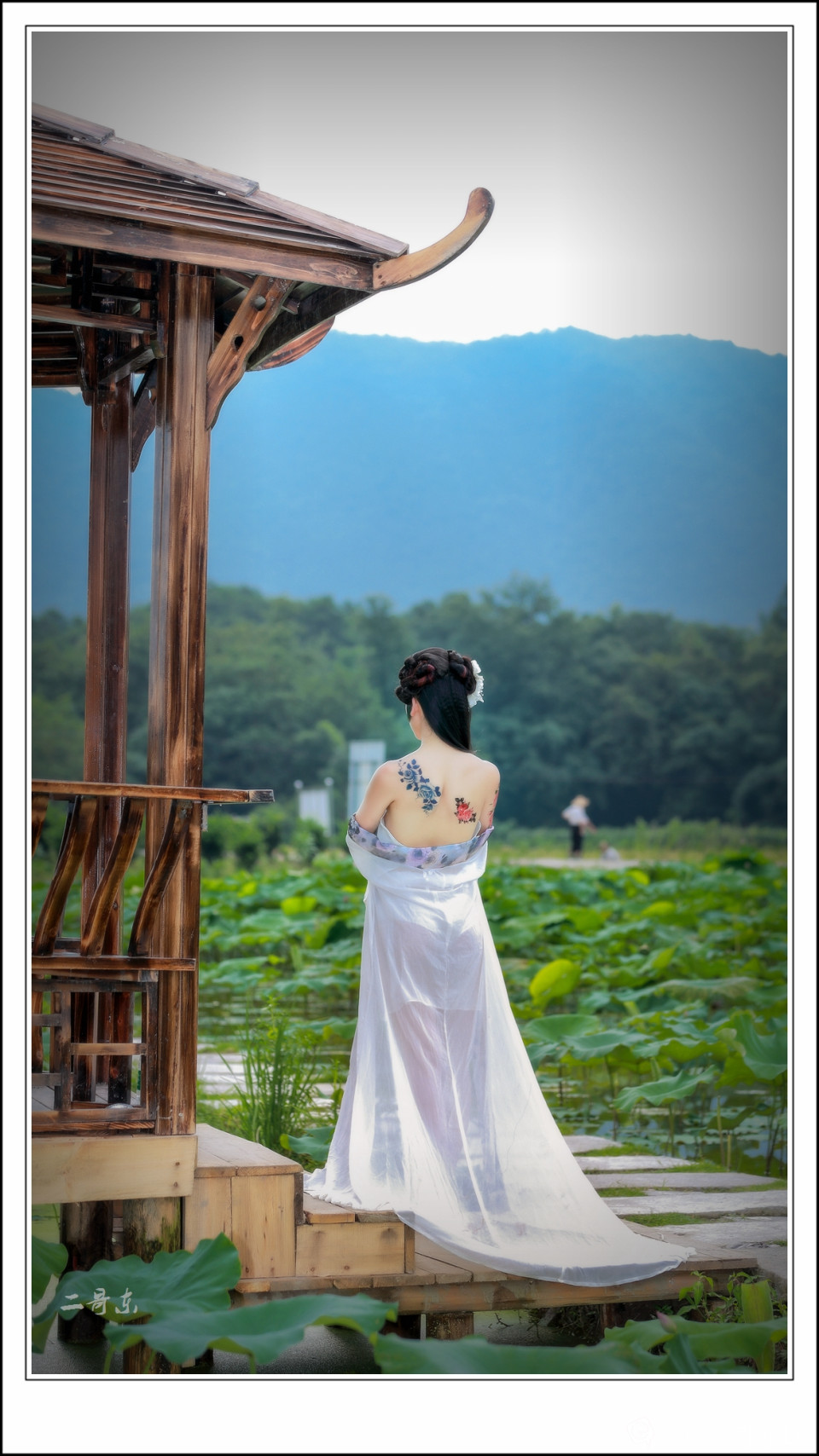 荷花仙子 (2).jpg