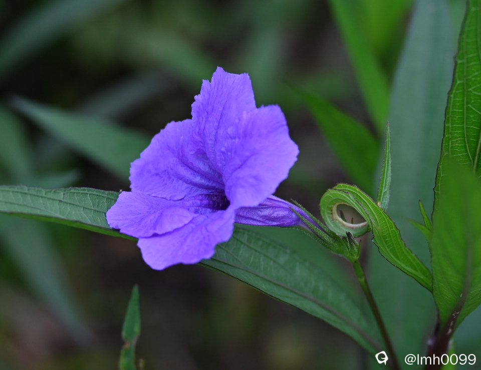 DSC_7839_副本.jpg