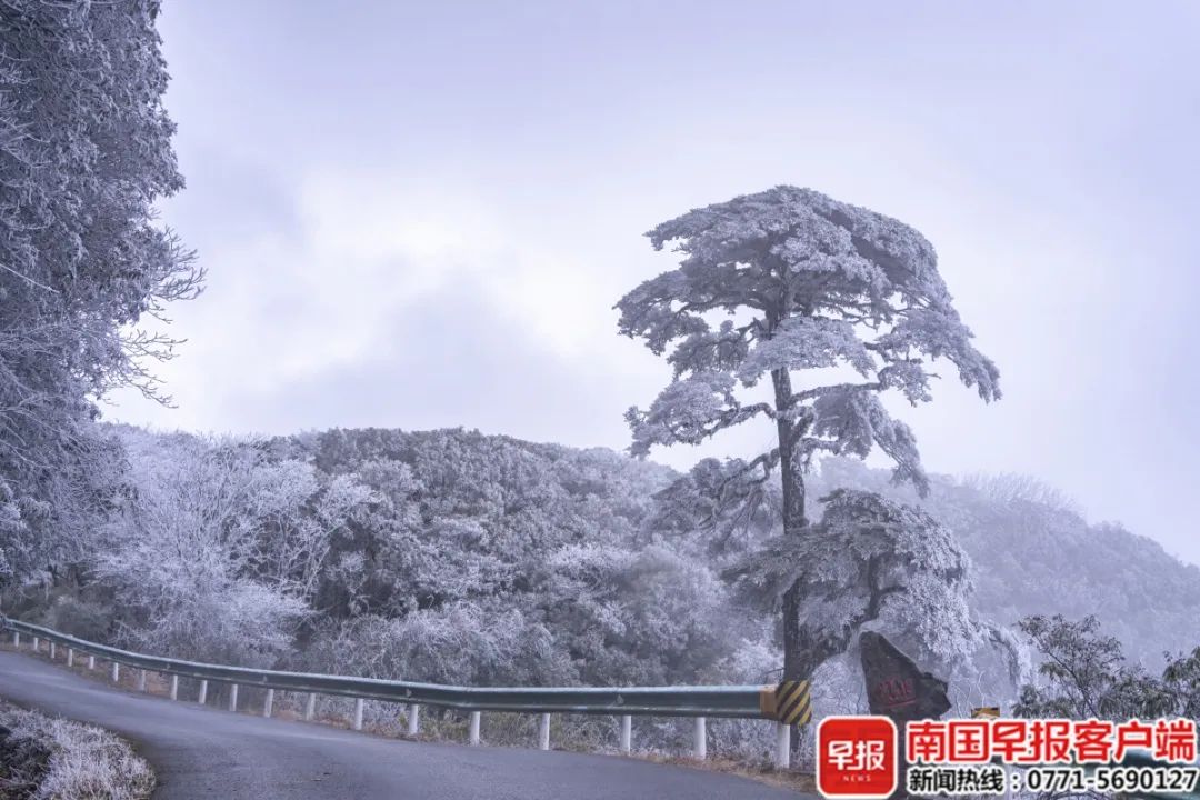 有雾凇美景！“三月三”去猫儿山吧！