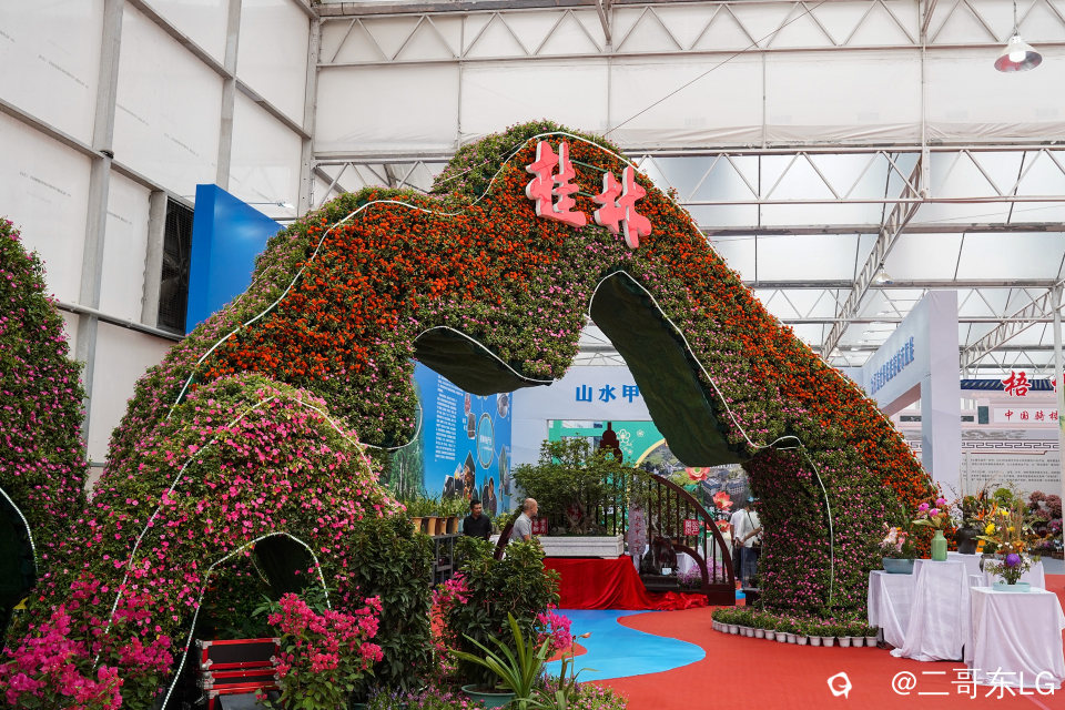 南方第三届花卉苗木交易会 (6).jpg
