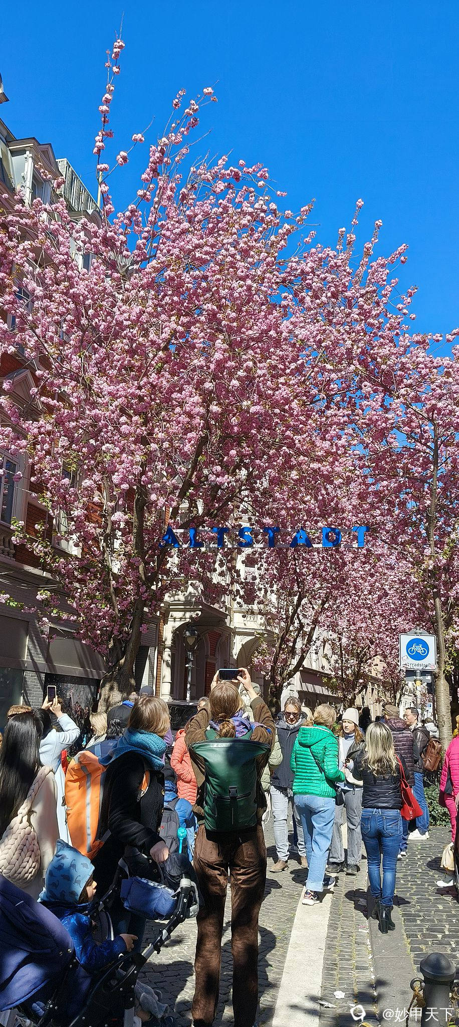 IMG20250406123843 (2).jpg