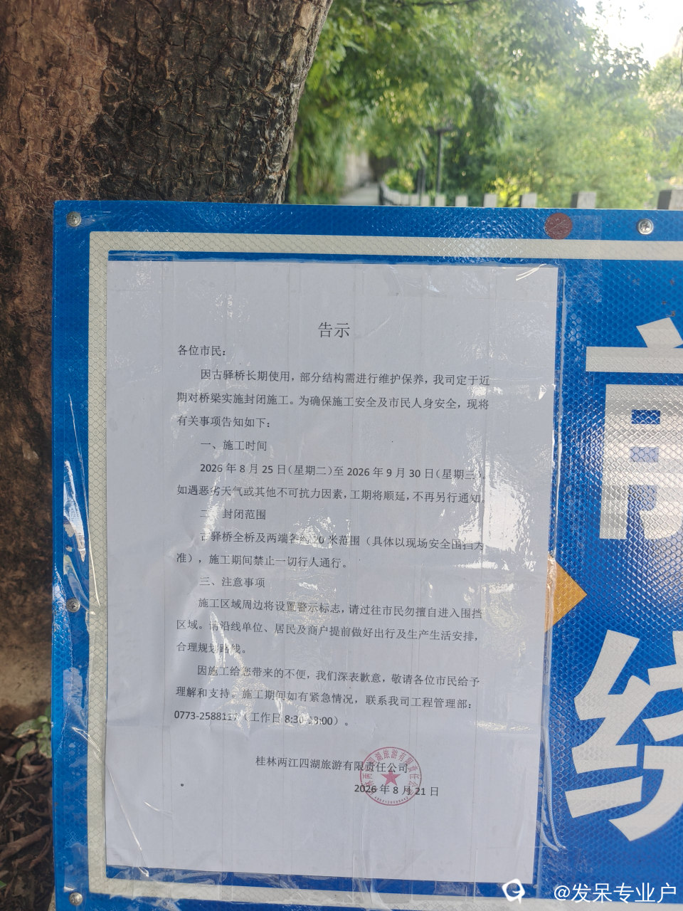 bd8cd731-bab4-2c79-1e96-f5624fb8a2c9.jpg