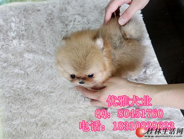 	 ���ֲ�������Ҫ��ĺǻ� ���ۺ󣬽����б�֤