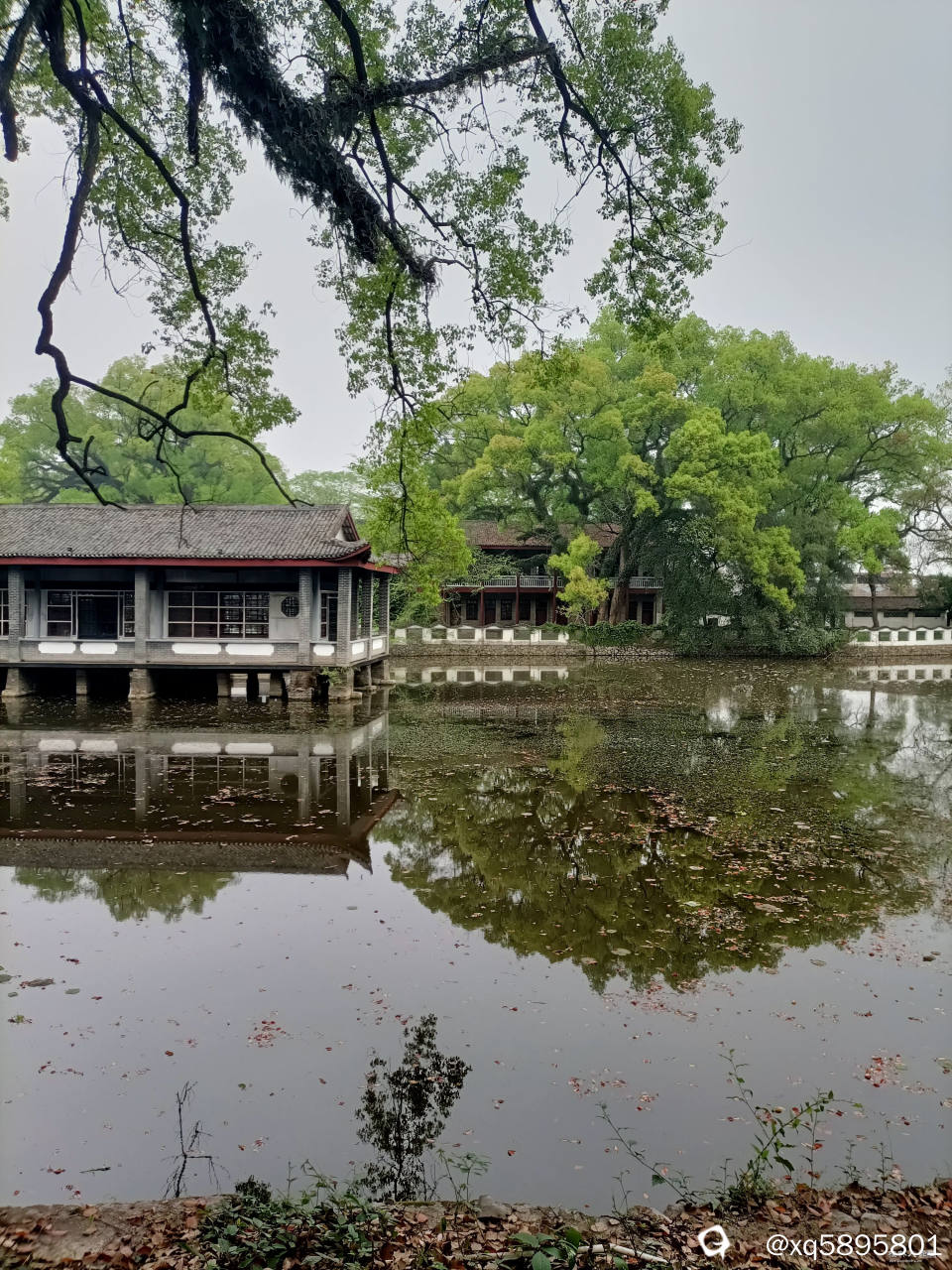 水榭