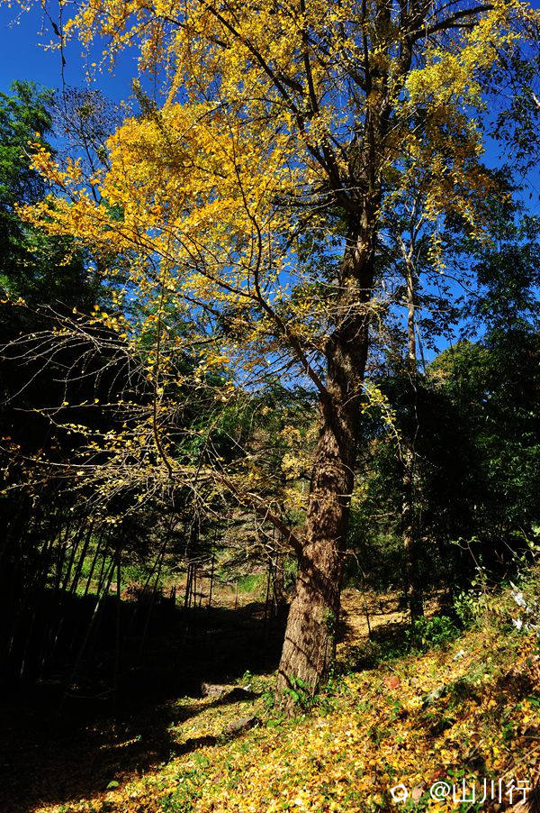 DSC_3841_1.jpg