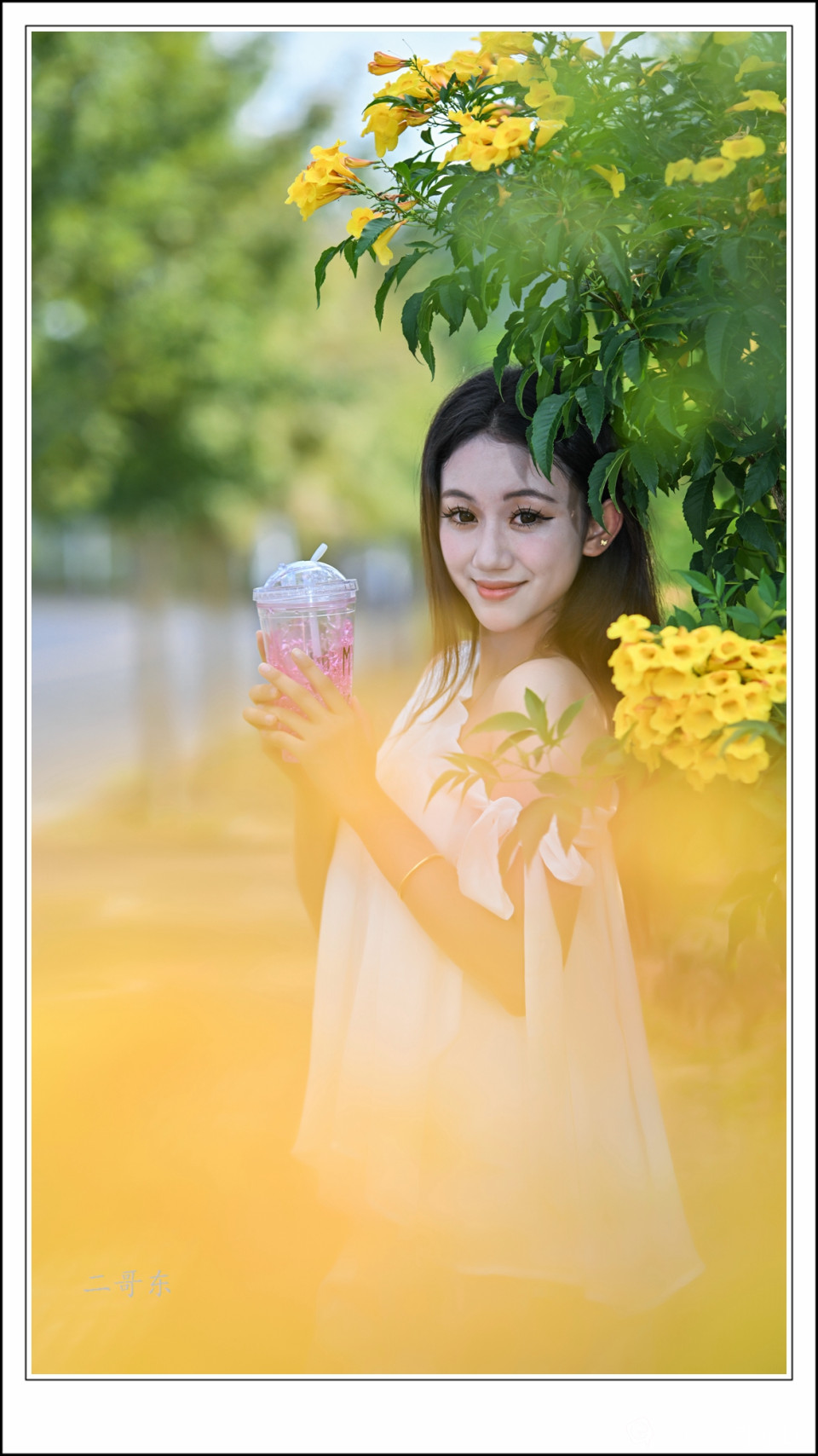 黄槐决明 (11).jpg