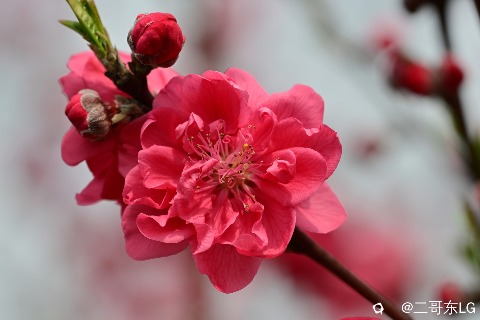 EGD_9161_副本.jpg
