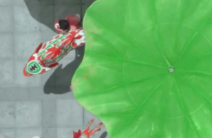 看了5遍才看清！第一眼：水怎么这么清，鱼怎么这么丑！第二眼：好家伙！摄影界来了个新天才