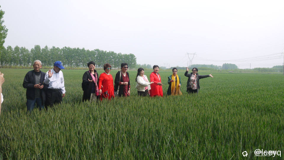 P1150566.JPG