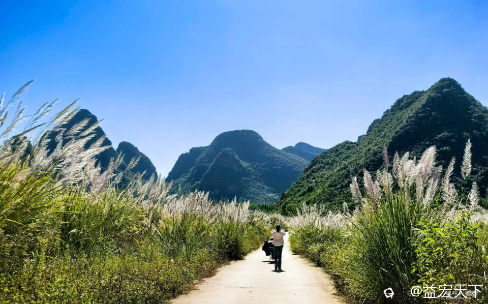 十一月，山窝窝里芒草美 峭峰四面围，天路一径微。 芒絮乘风起，逐影移斜晖。 银花空谷漱，雪絮伴云飞。 临 ...