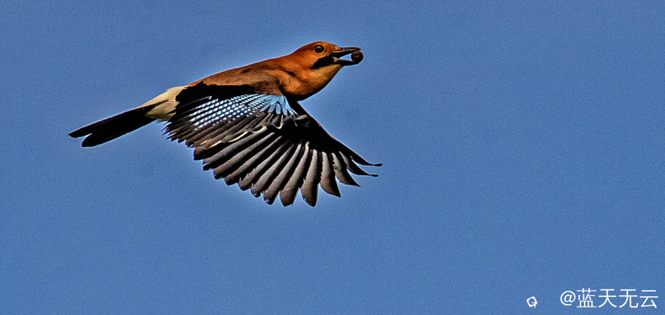 _40I6930 拷贝p.jpg