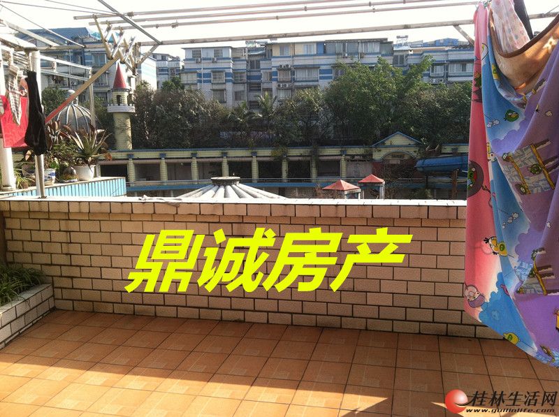 �����С�� ��5��3��4�� 250�O ����������� ϡȱ���� ����װ�� �����ס