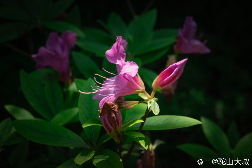 DSC01449-0 - 副本.jpg