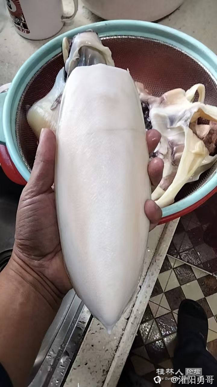 微信图片_20241207151958.jpg