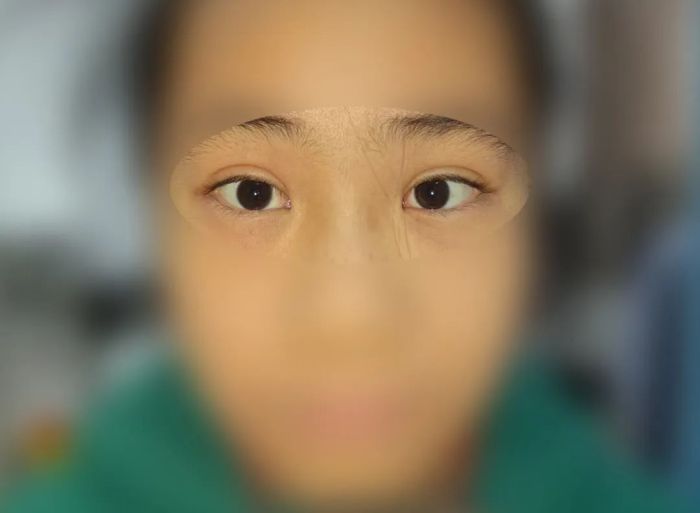 微信图片_20250212112049.jpg