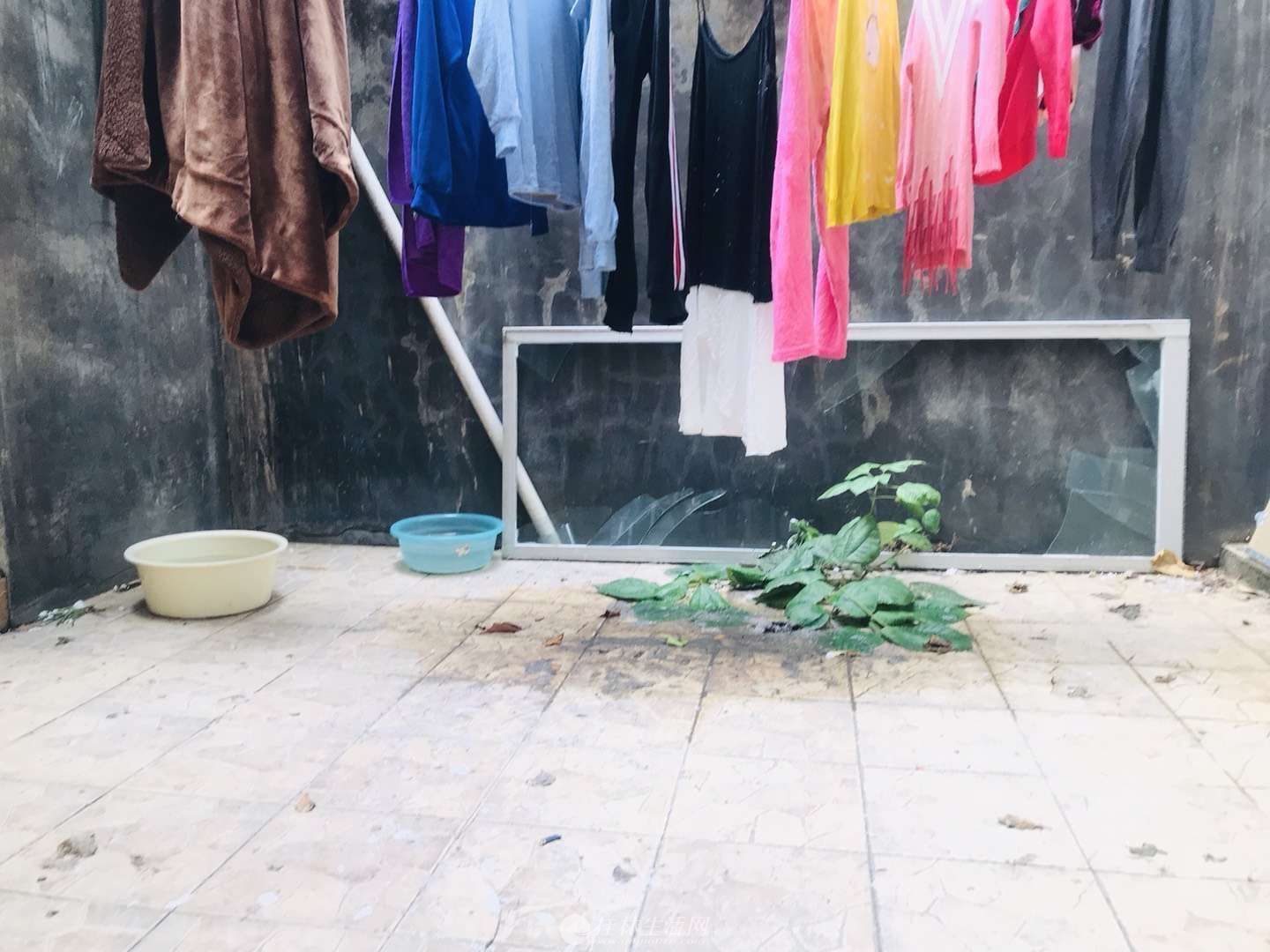 L���С����ǰ���԰��װ��ֻҪ59��