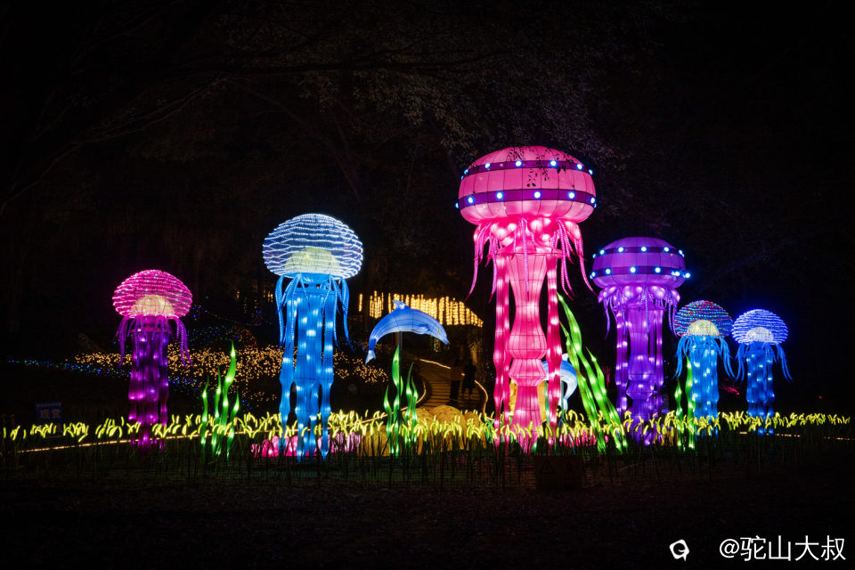 DSC04941-0 - 副本.jpg