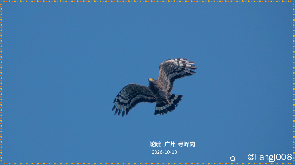 DSC01090_副本.jpg