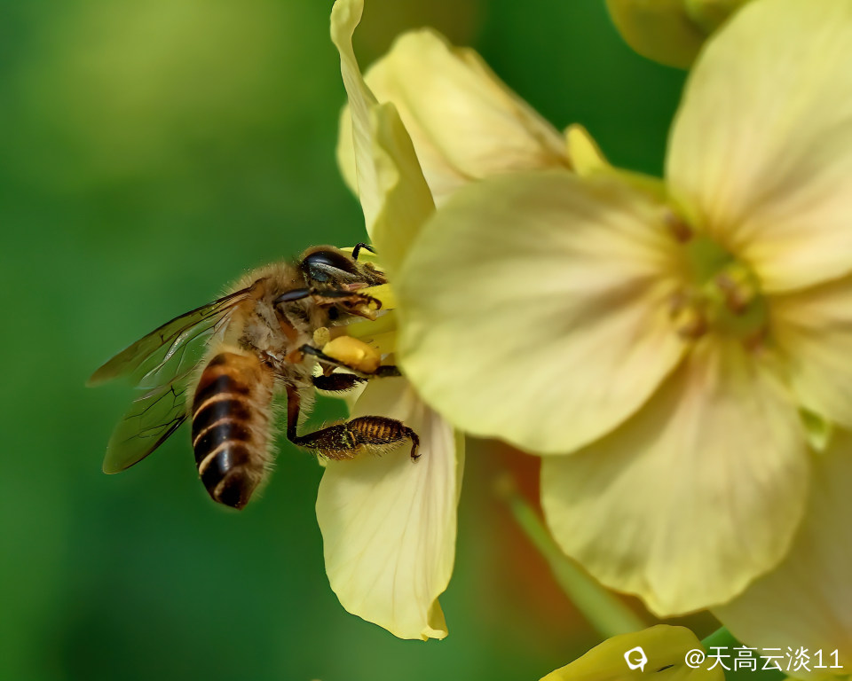 5D2A1576-DeNoiseAI-clear.jpg