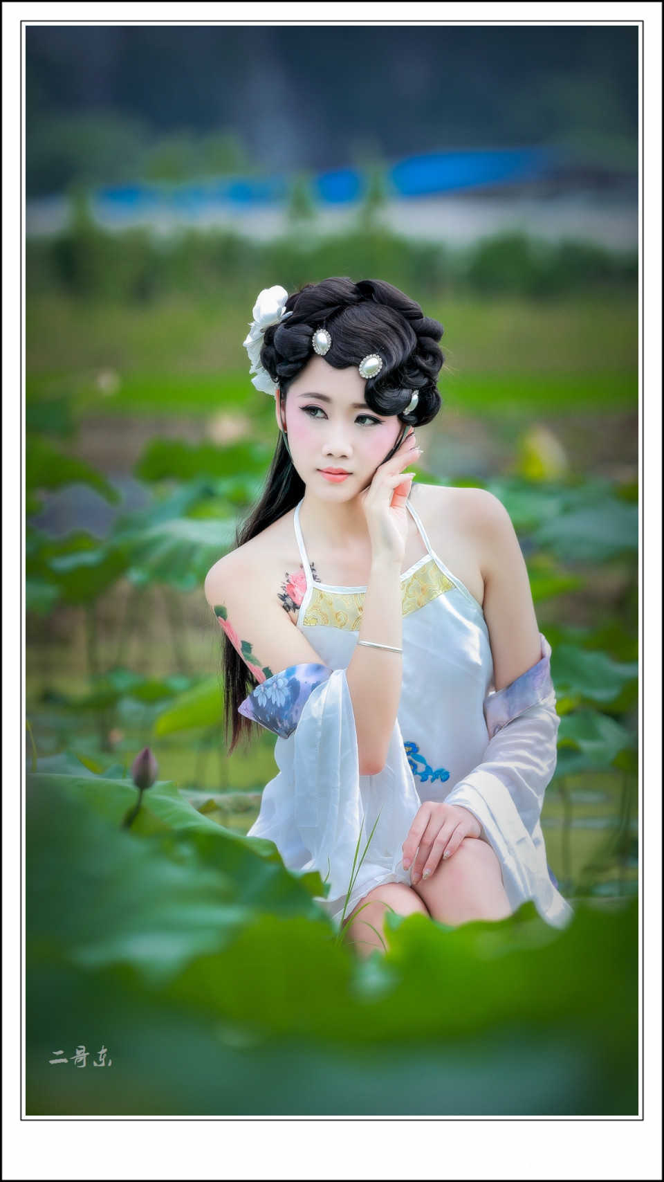 荷花仙子 (1).jpg