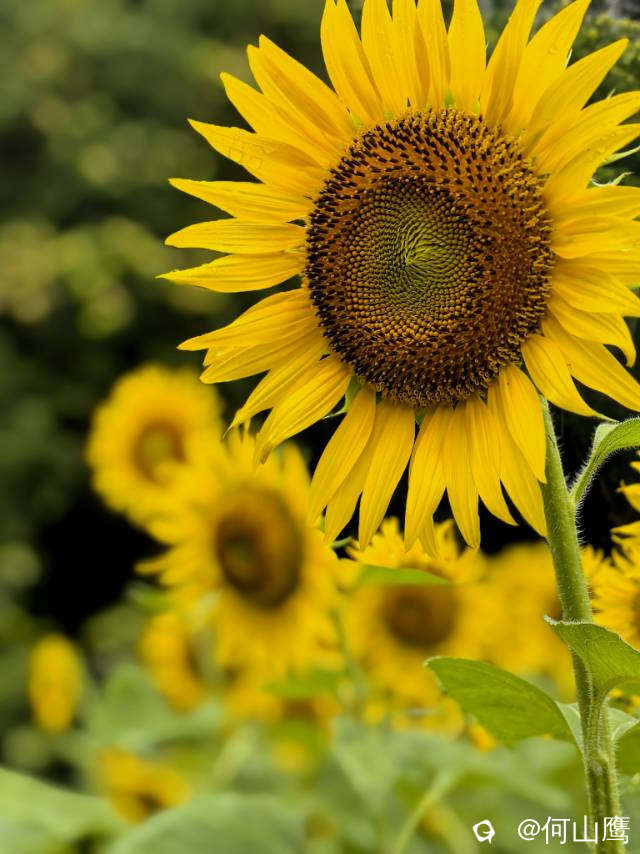 ad36db05-7a4a-2ec7-844c-63932b89ba6c.jpg