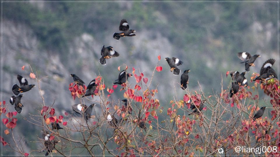 DSC04187_副本.jpg
