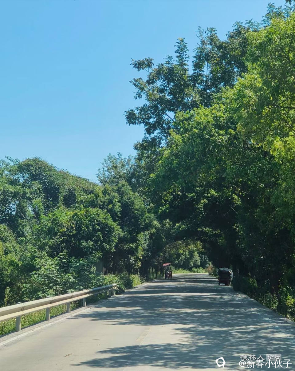 树影婆娑，心旷神怡