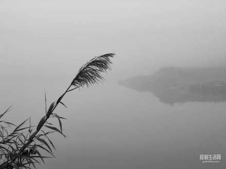 每個(gè)人都會(huì)有屬于自己的一場(chǎng)大霧