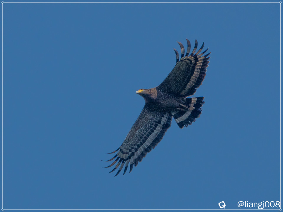 DSC011071_副本.jpg