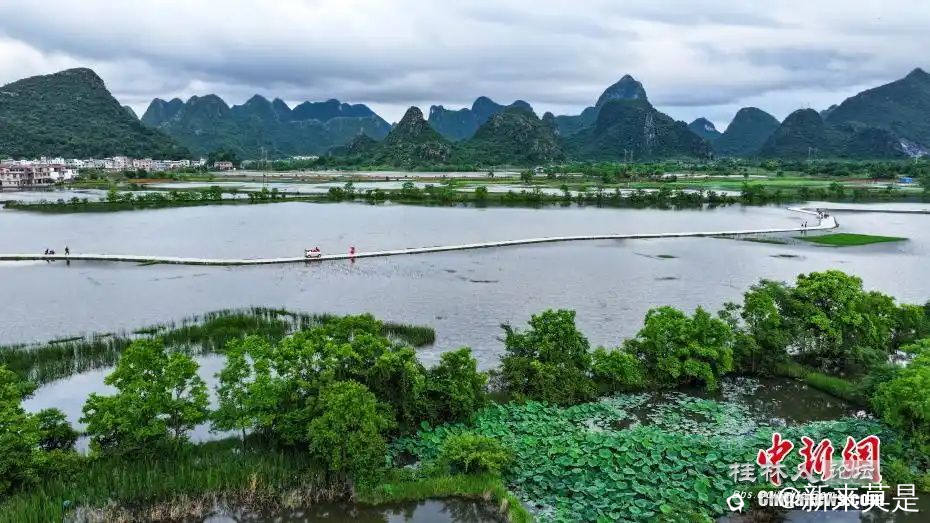 342ac65c103853438502a31967da6f71cb808816_看图王.jpg