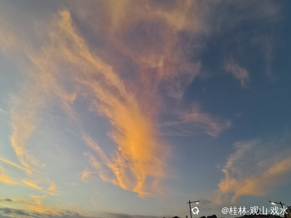 f8cb95e8-384c-63b6-2f39-407da37bdc02.jpg