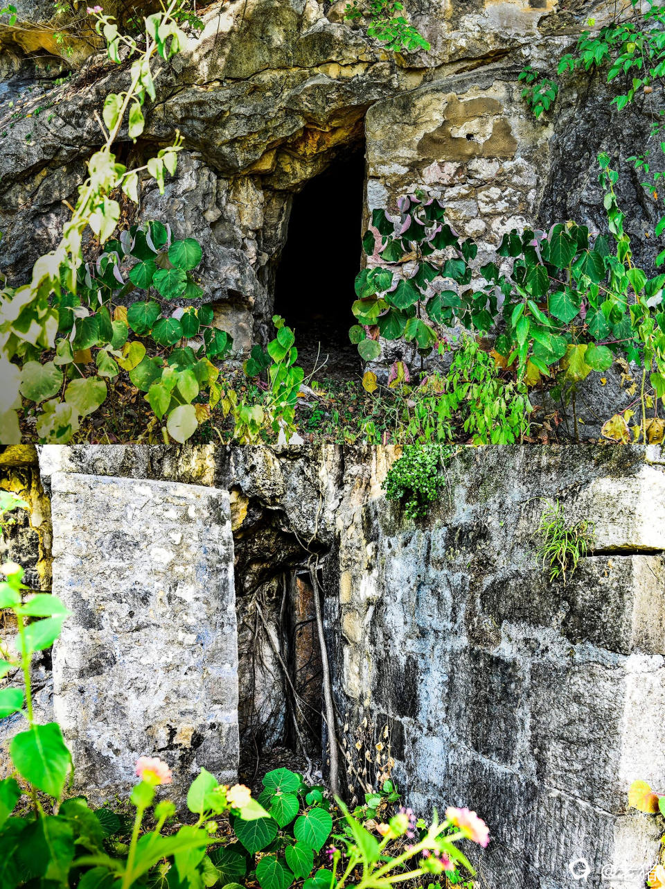 _DSC1530 - 副本.JPG