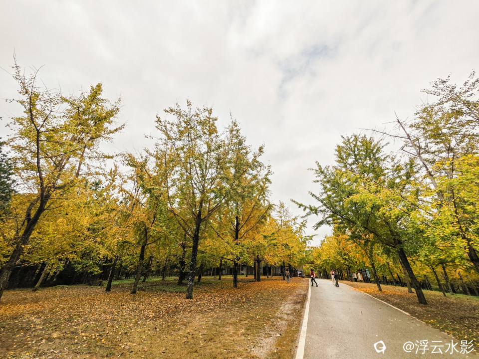 IMG_20251108_115533-104 [最大宽度 2400 最大高度 1800].jpg