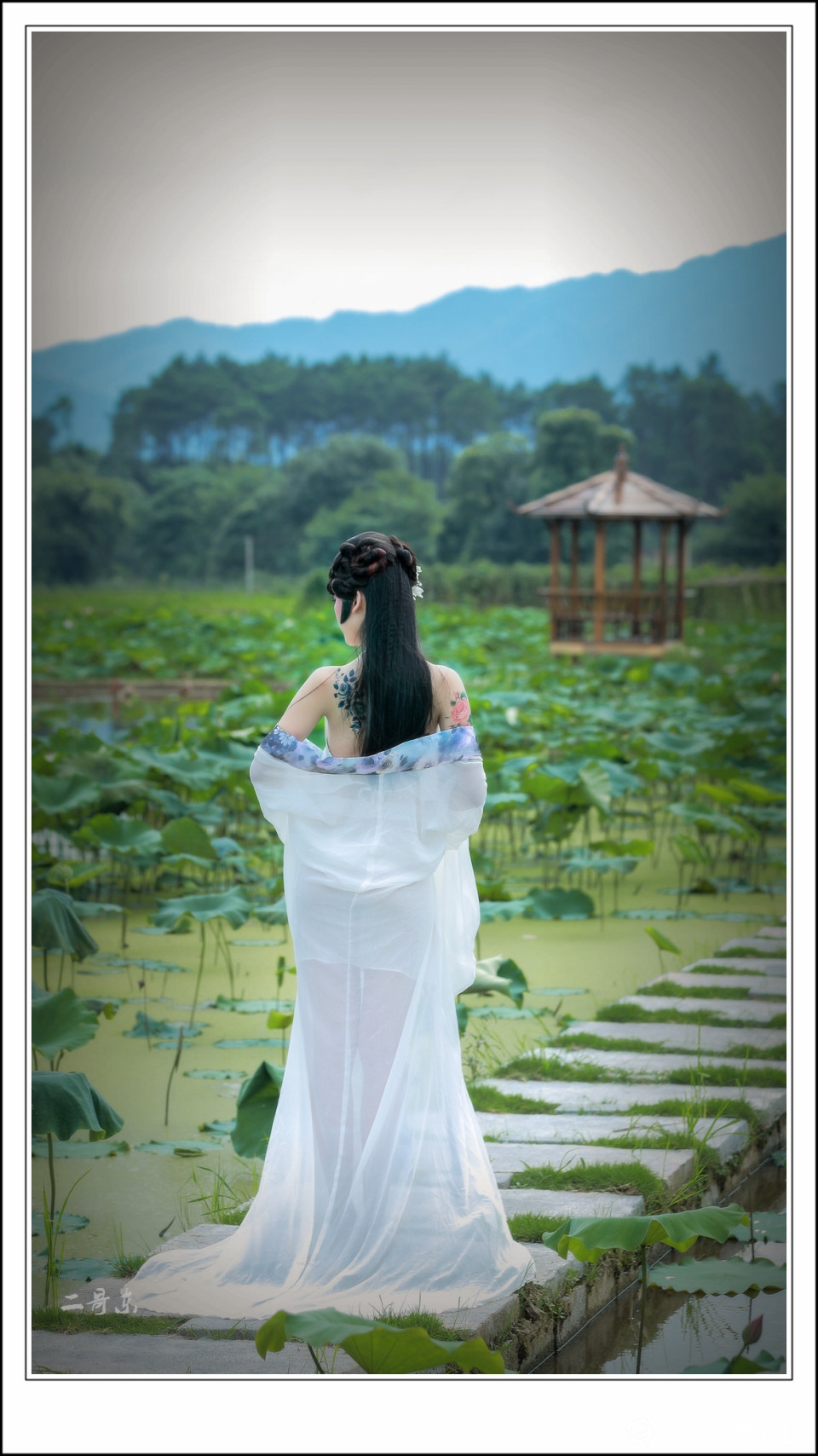 荷花仙子 (8).jpg