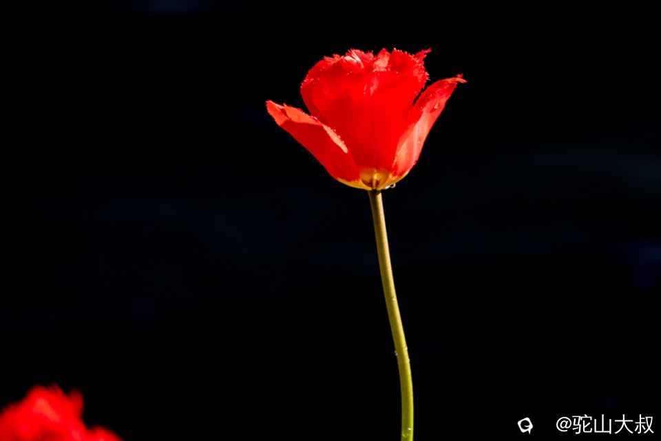 DSC06098098_副本.jpg