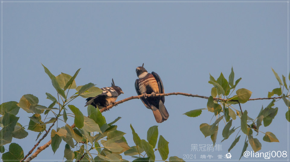DSC08112_副本.jpg