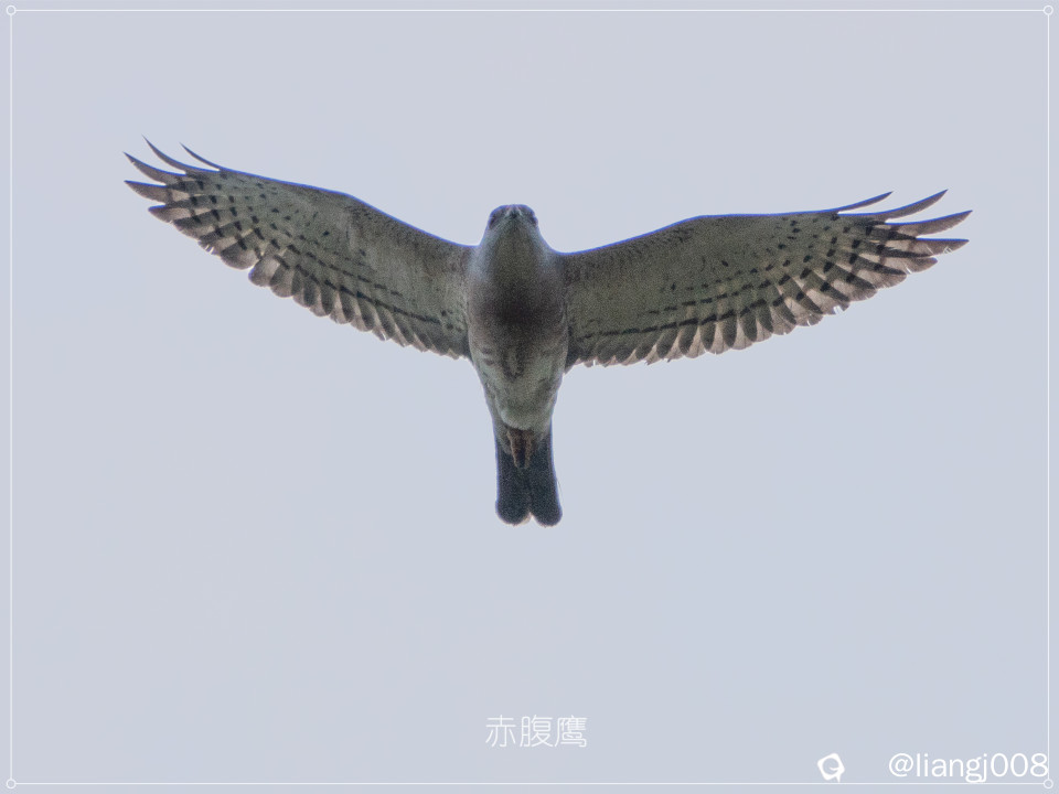 DSC00661_副本.jpg