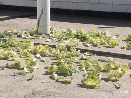 与邻居在楼顶不期而遇，晒酸菜