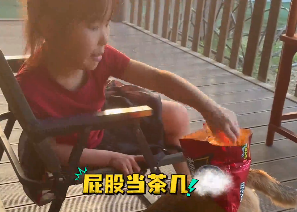 带娃哪有不崩溃的！俩小狗正伺候着家里的&ldquo;大小姐&rdquo;享受她的下午茶！小汪：这家的狗粮没一口是白吃的