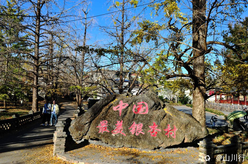 DSC_3914_1.jpg