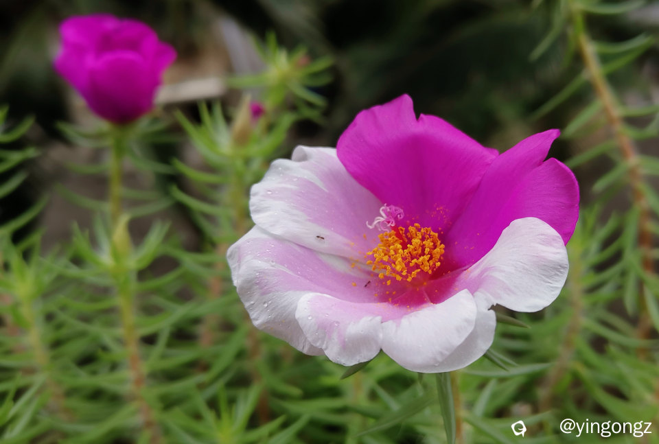 IMG_20240605_120728_副本.jpg