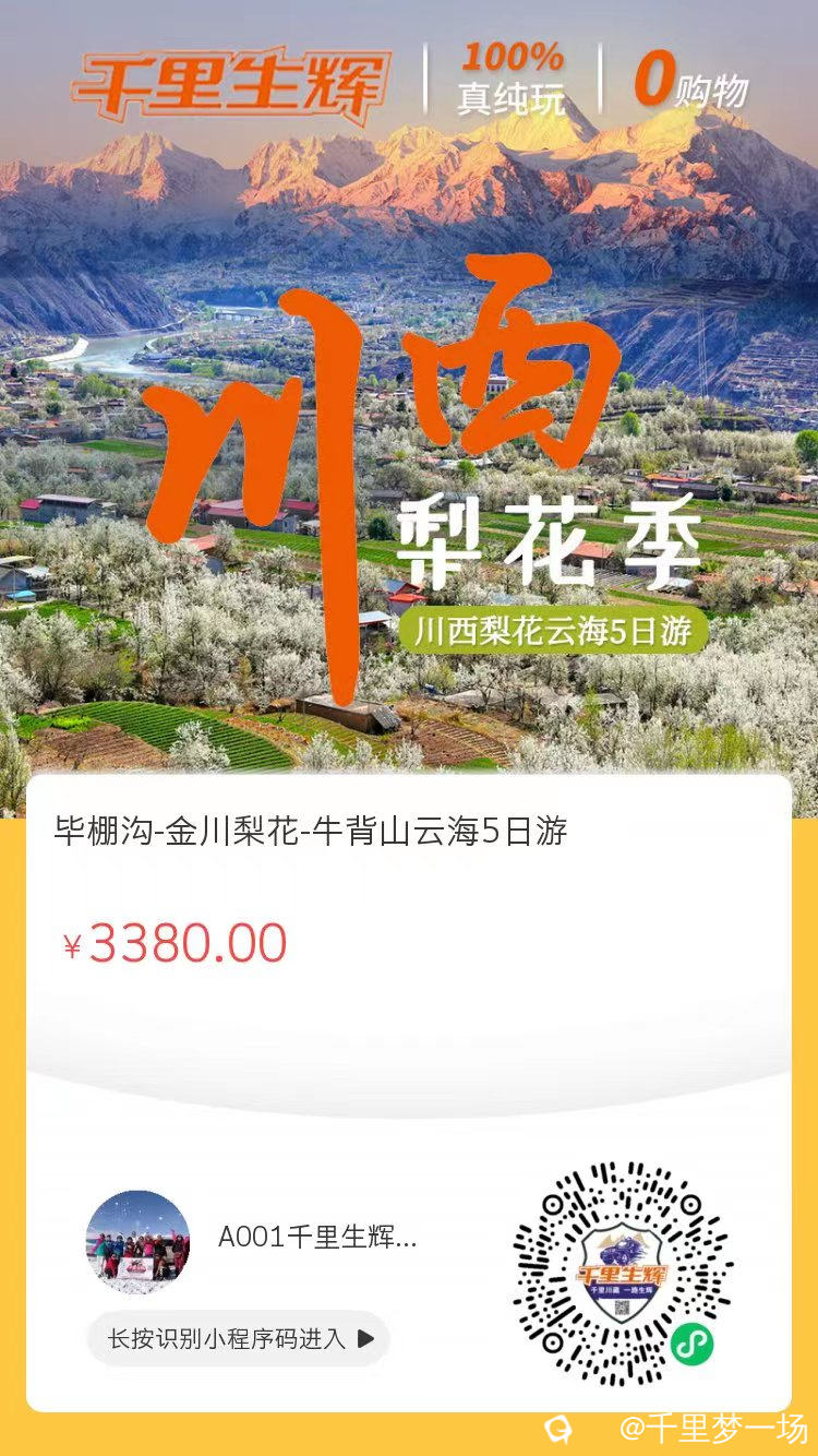梨花1.jpg