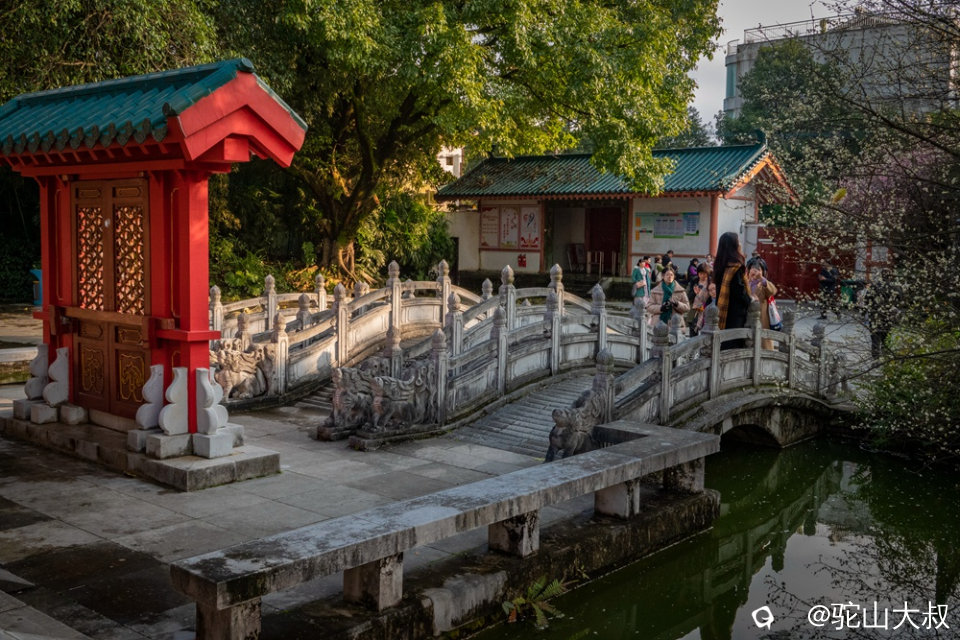 DSC05746-01_副本.jpg