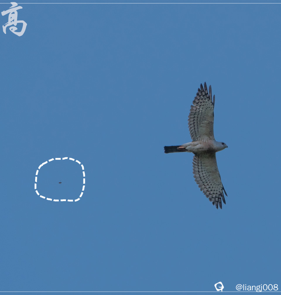 DSC00854_副本_副本.jpg