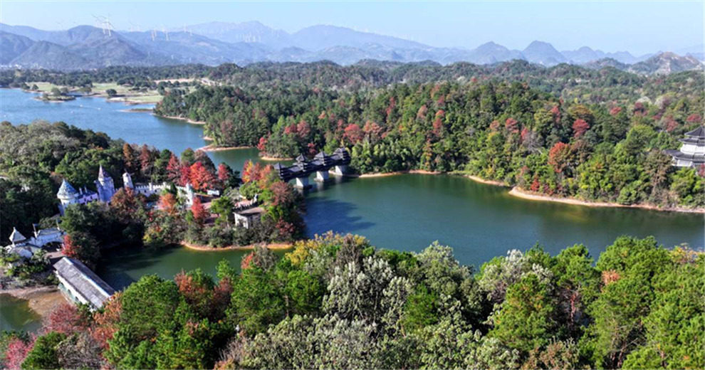 乐满地红枫、银杏让秋冬童话照进现实