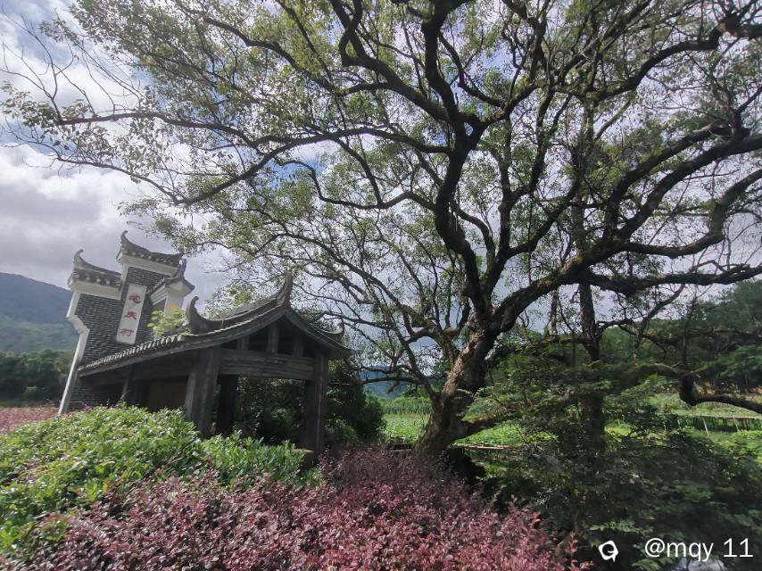 be2c6545-0ded-360c-a026-274432500897.jpg