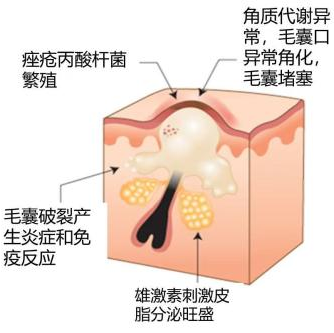 图片 5.png