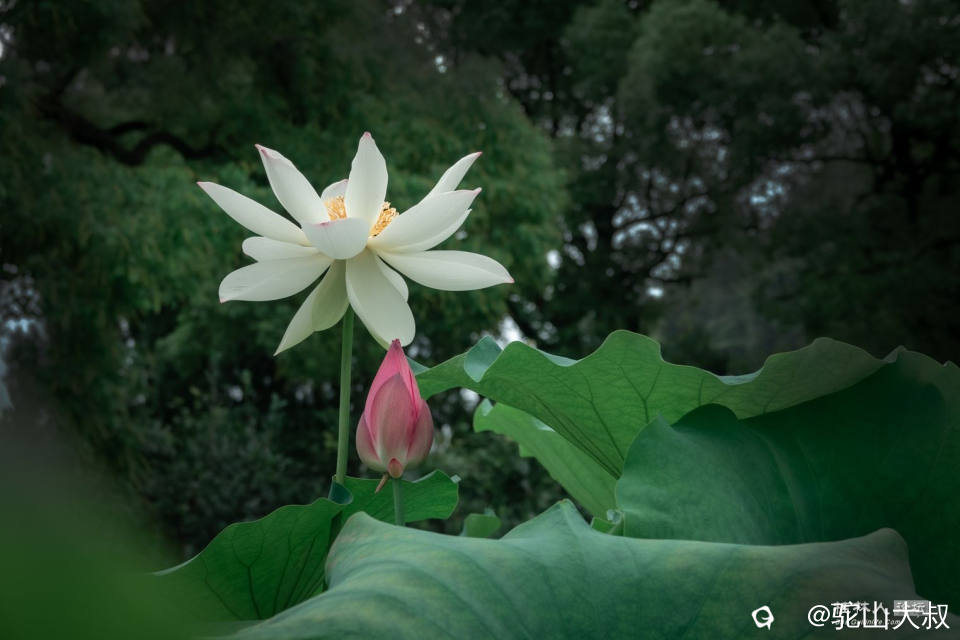 DSC07384-0 - 副本.jpg